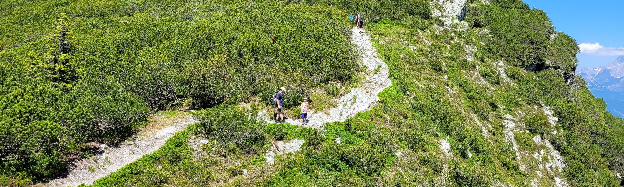 Schmaler Bergweg führt über einen grünen, mit Latschen bewachsenen Grat, auf dem zwei Wanderer unterwegs sind.