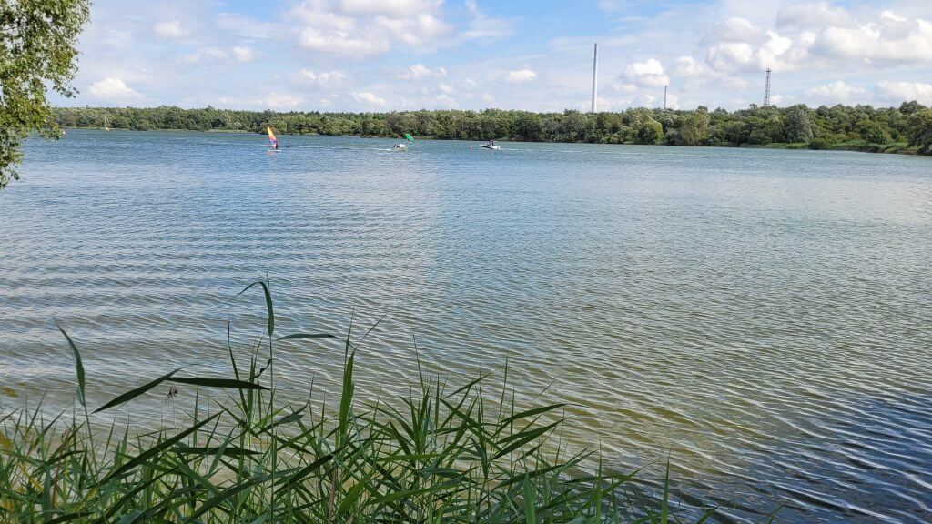 Segelboote auf dem See bei leichtem Wind, umgeben von Bäumen und leicht bewölktem Himmel.