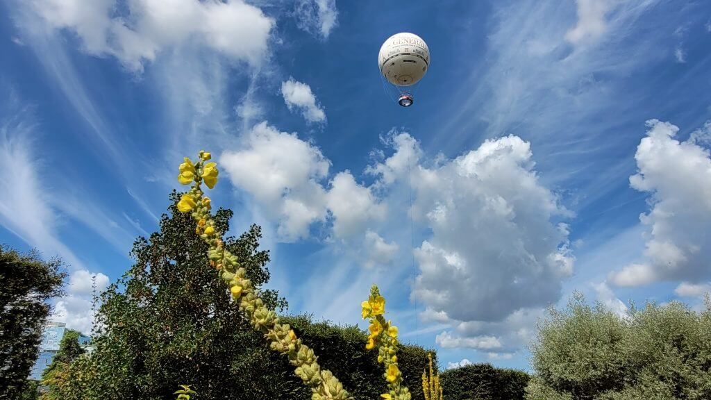Blick aus einem Garten in einen Himmel mit Schleierwolken, an dem ein Heißluftballon schwebt.