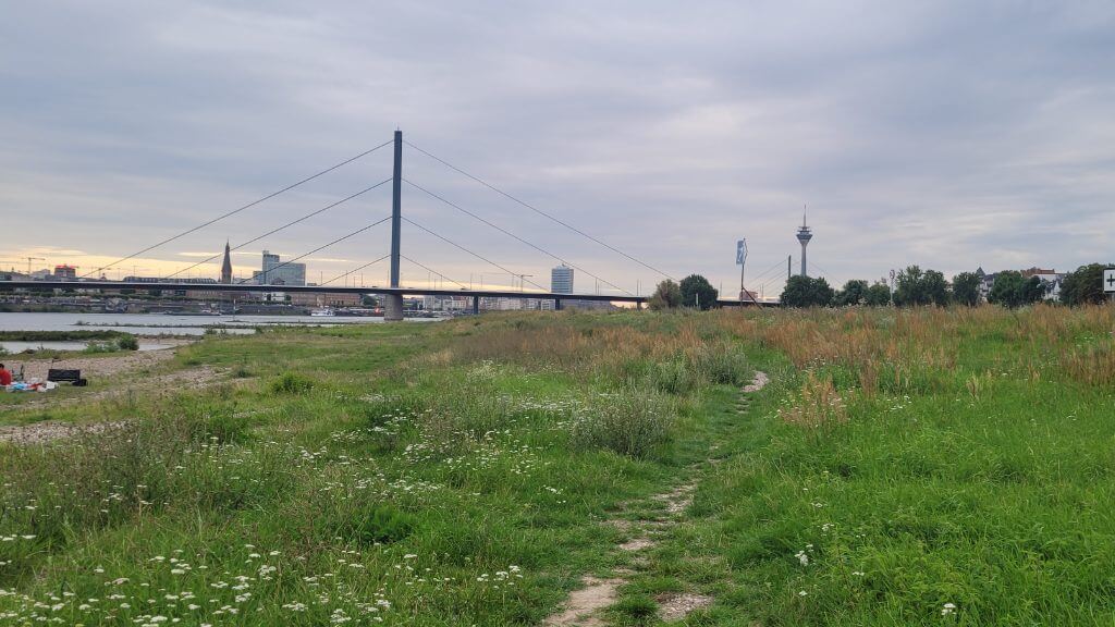 Grünes Flussufer mit Pfad und Blick auf die Rheinkais und den Rheinturm bei Sonnenuntergang in Düsseldorf