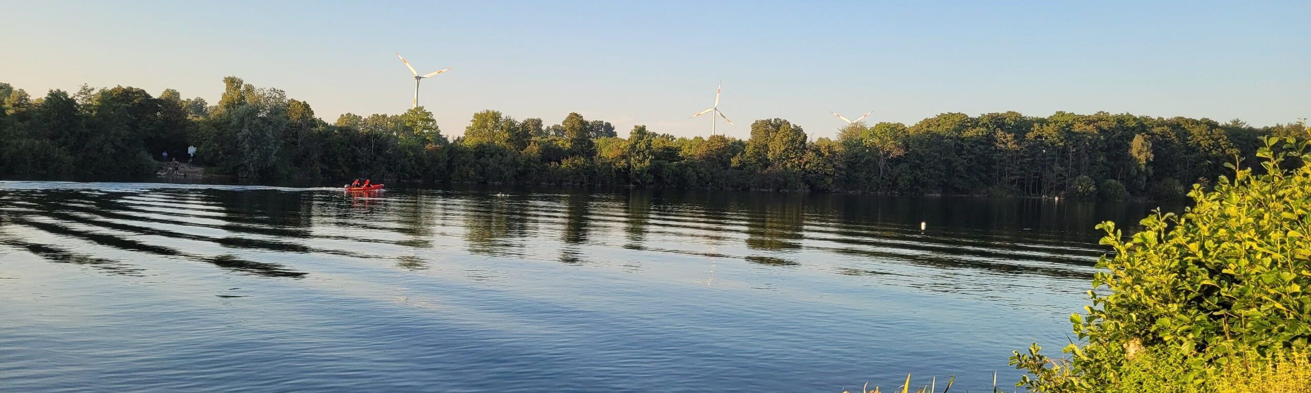 Ruhiger See mit sanften Wellen, bewaldetem Ufer und Sträuchern im warmen Abendlicht.