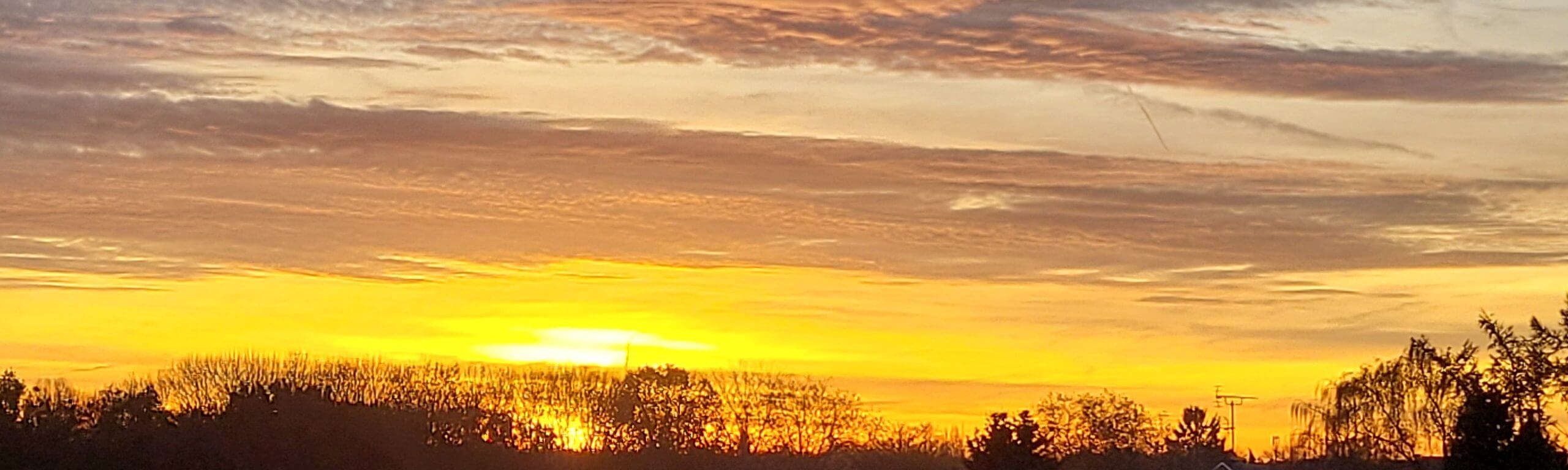 Leuchtend oranger Sonnenuntergang unter einer weiten Wolkendecke über der Silhouette von Bäumen.